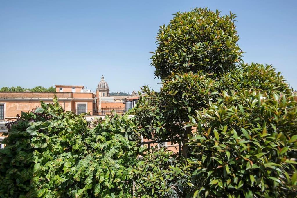 Apartment Exclusive Views From A Sunny Attic Apartment!